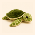 Turtle Adoption Kit
