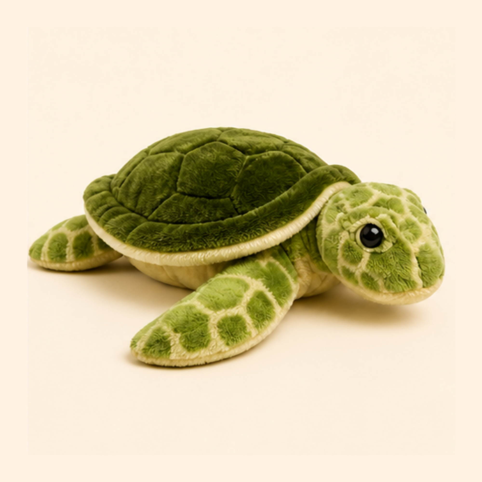 Turtle Adoption Kit