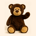 Bear Adoption Kit