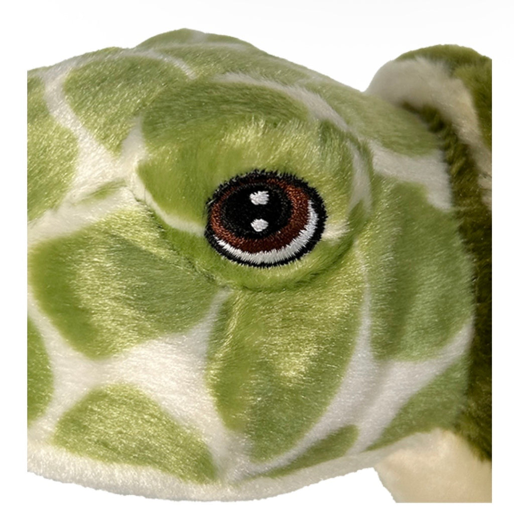 Turtle Adoption Kit