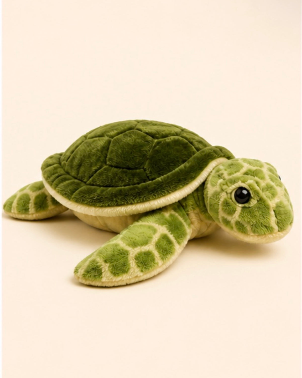 Wonder Pal Adoption Kit