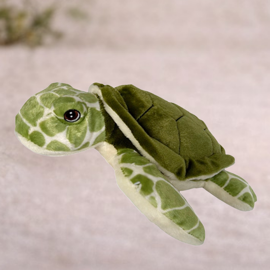 Wonder Pals Turtle Adoption Kit