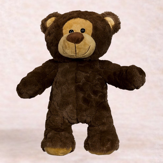Wonder Pals Bear Adoption Kit